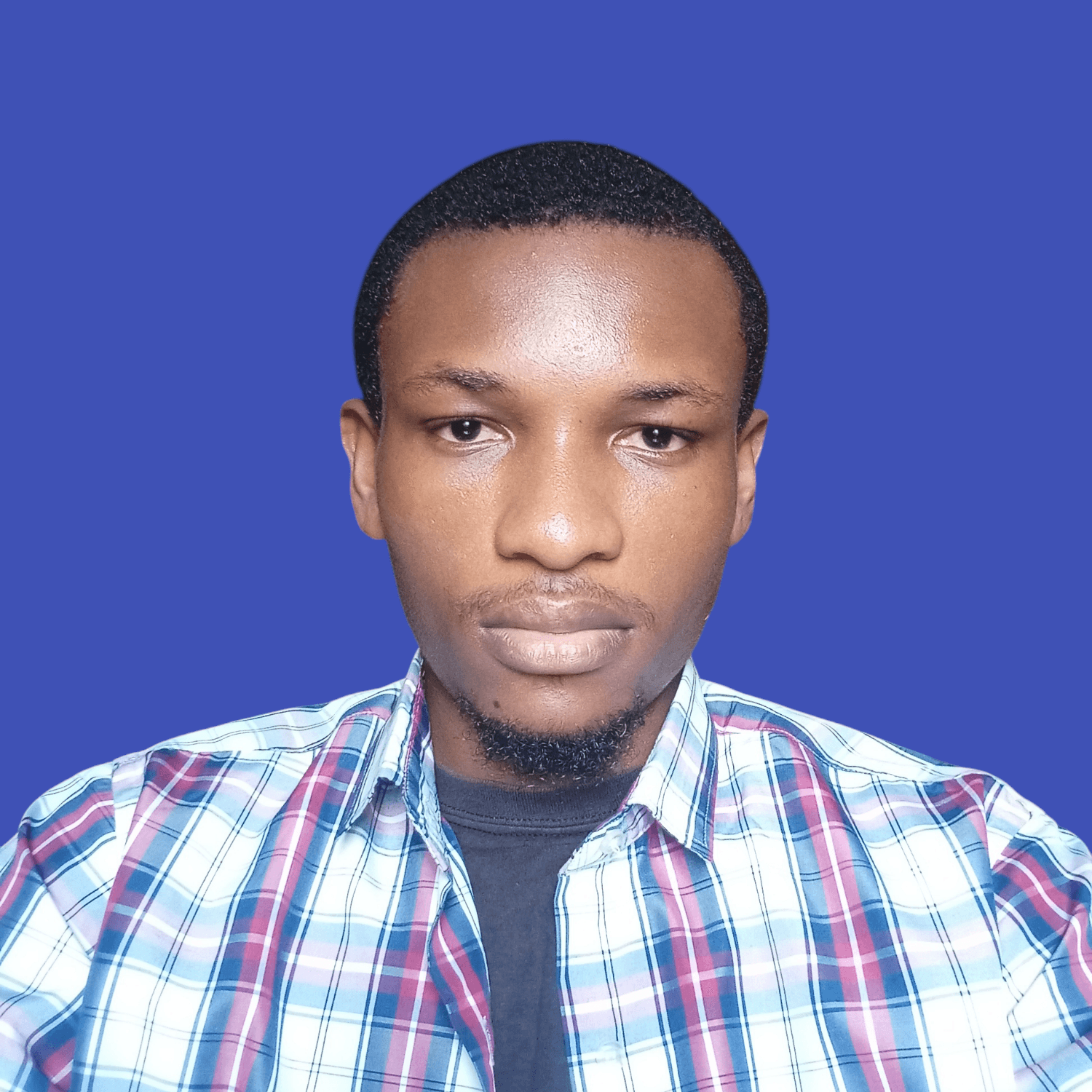 Developer portrait